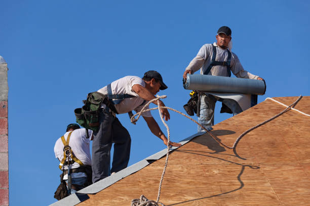 Best Shingle Roofing Installation  in Grambling, LA
