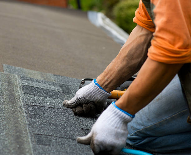 Best Metal Roofing Contractor  in Grambling, LA